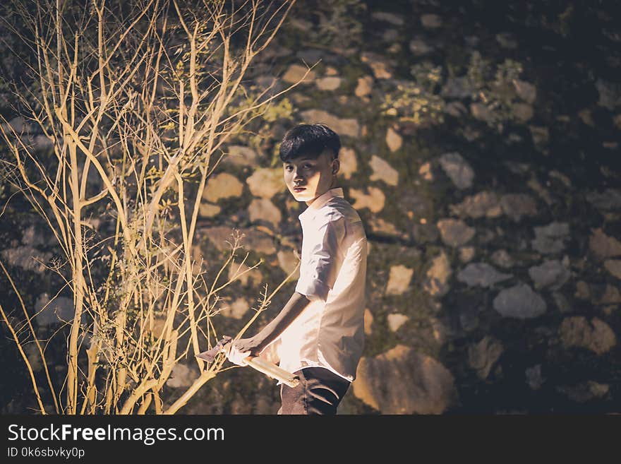 Boy In White Collared Shirt Standing Infront Of Tree