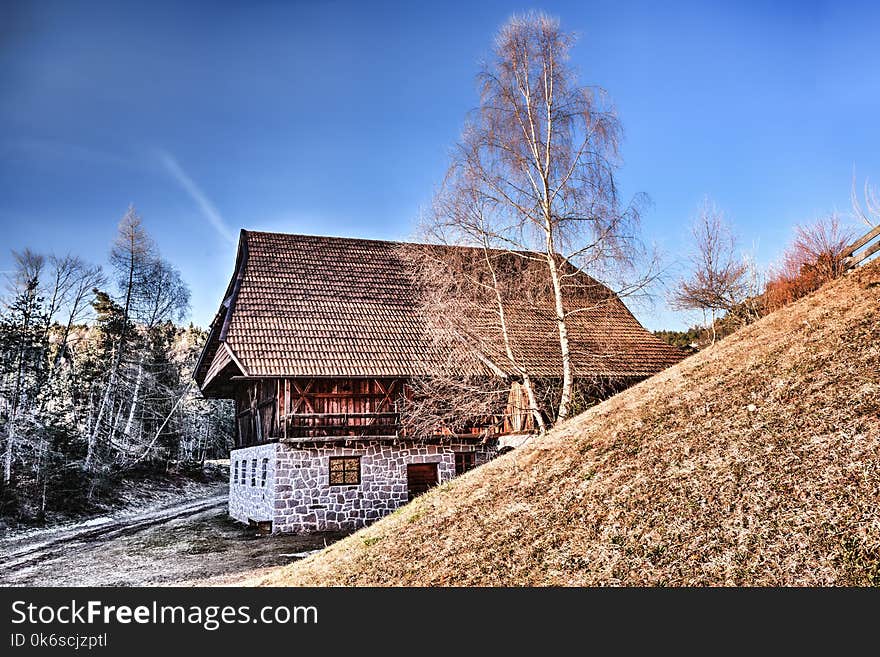 Brown Roof House Near Withered Trees Photography