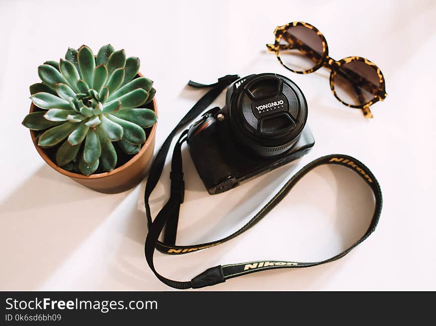 Black Nikon Dslr Camera Beside Green Succulent Plant