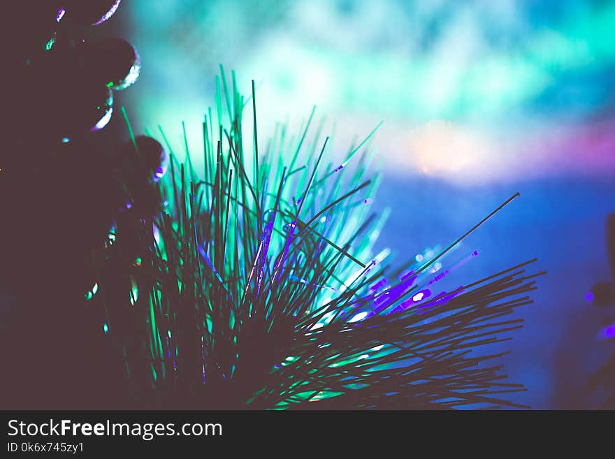 Decorated Christmas tree and colorful garland lights, filtered. Decorated Christmas tree and colorful garland lights, filtered.