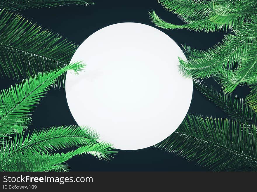 Empty round banner with green leaves. Eco concept. Mock up, 3D Rendering
