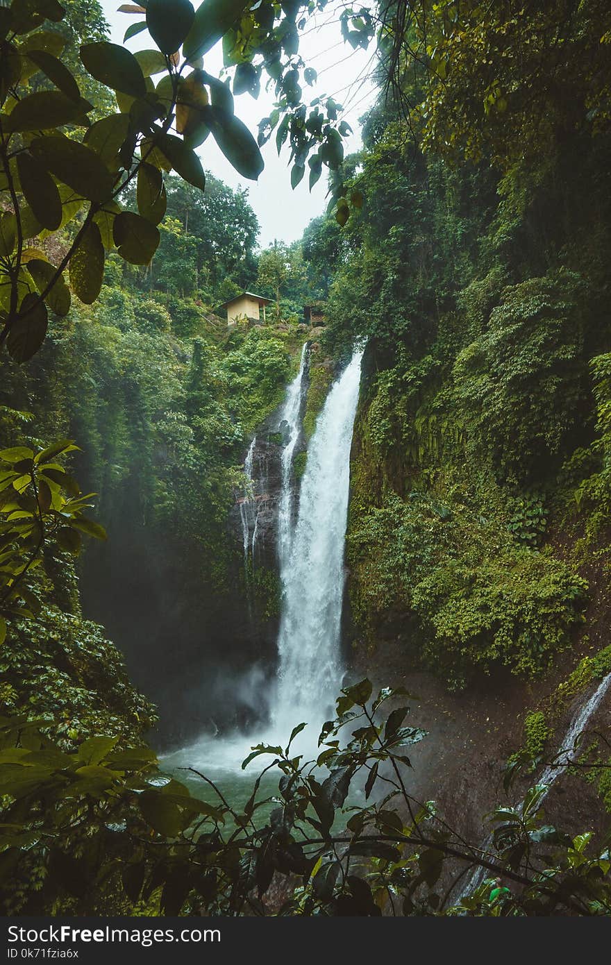 Landscape Photography of Waterfalls Surrounded by Green Leafed Plants