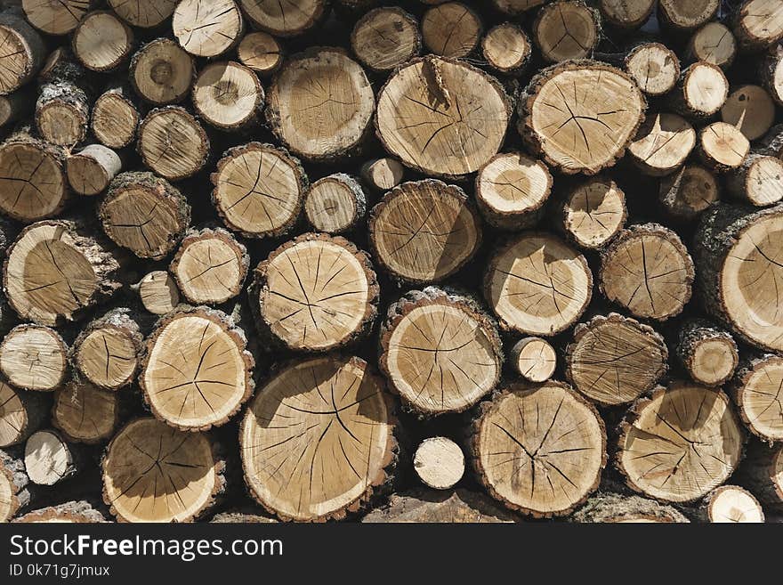 Photography of Woodpile