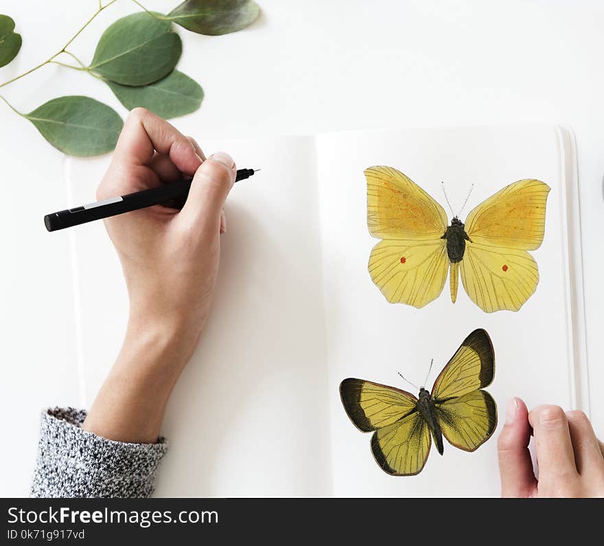 Photo of a Person Drawing a Butterfly