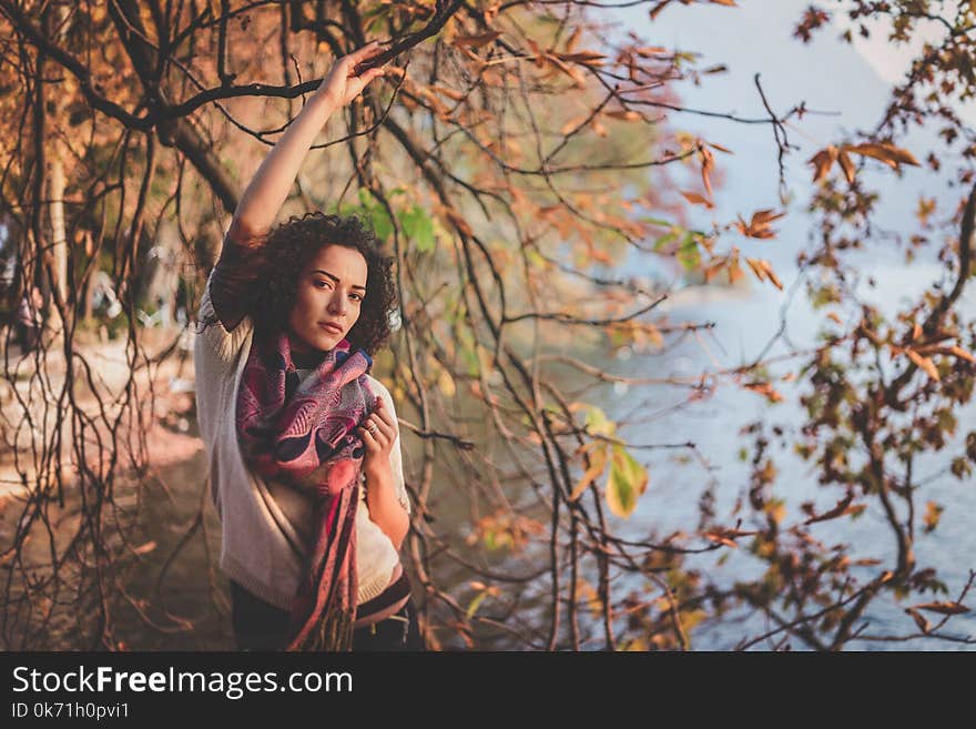 Woman Standing Beside Bare Tree Near Body Of Water