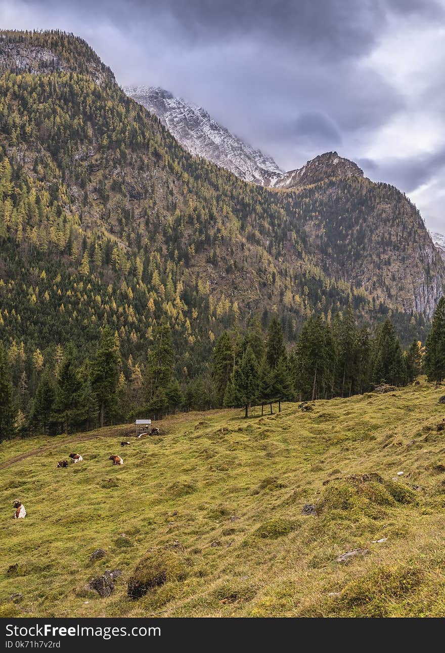 Scenic View of the Mountain