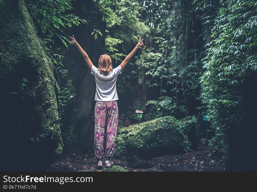 Woman With Raising Arms Facing Pathway Between Forest Trees