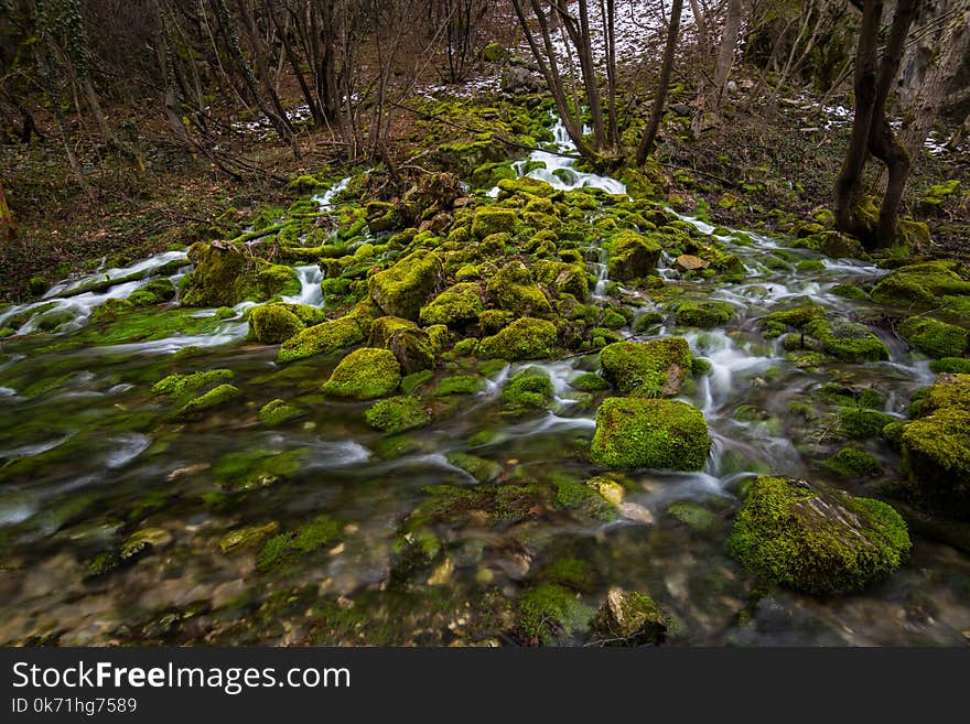 Flowing River and Moss Covered Rocks