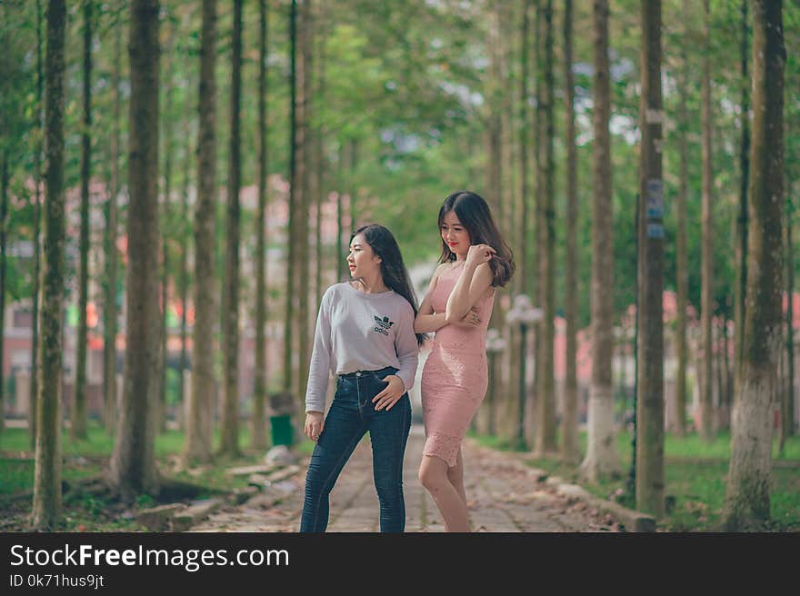 Woman in Pencil Dress Beside Woman in Gray Sweatshirt and Blue Jeans Standing on Pathway