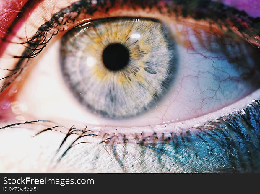 Human&#x27;s Eye