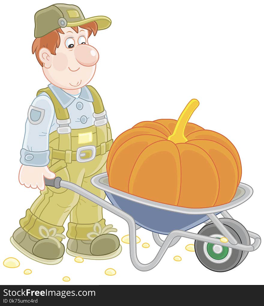 Smiling farmer carrying a big orange gourd in his barrow, a vector illustration in a cartoon style. Smiling farmer carrying a big orange gourd in his barrow, a vector illustration in a cartoon style