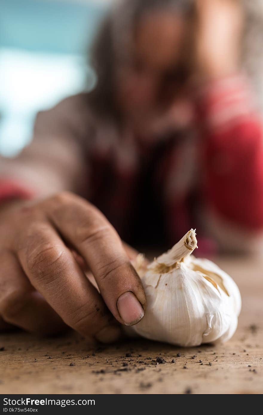 Dirty Hand Of A Man Covered In Soil With Garlic