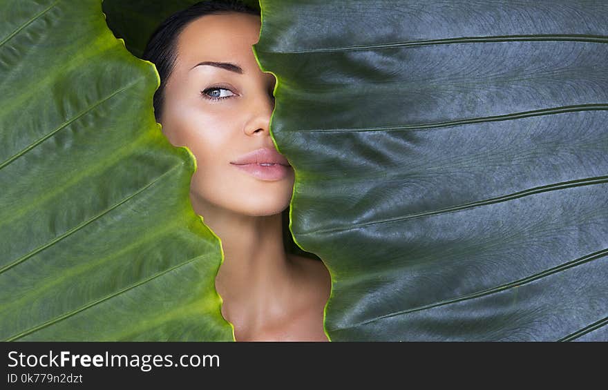 Beautiful Woman face with Natural nude make-up on a tropical leaf background. Healthy life. Recreation and relaxation in the jungle. beautiful woman behind the leaves. Pure natural cosmetic and wellness concept. Purity