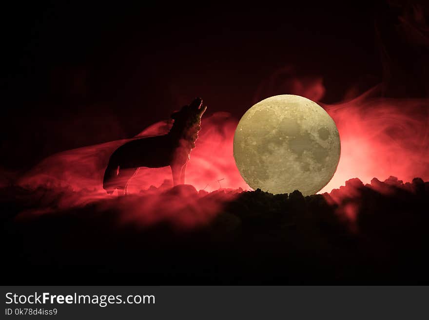 Silhouette of howling wolf against dark toned foggy background and full moon or Wolf in silhouette howling to the full moon. Halloween horror concept. Selective focus