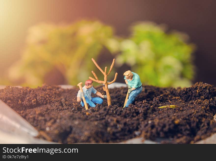 Two miniature figure people planting tree. Two miniature figure people planting tree