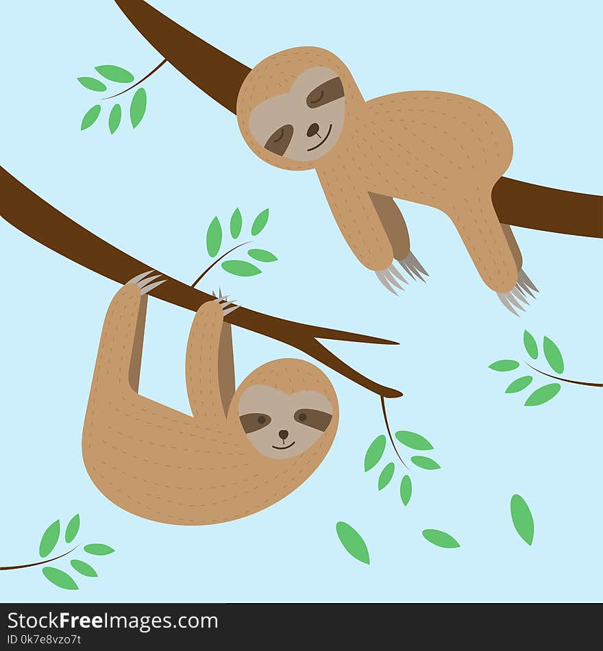 Cute sloths cartoon sleeping and hanging on tree branch.