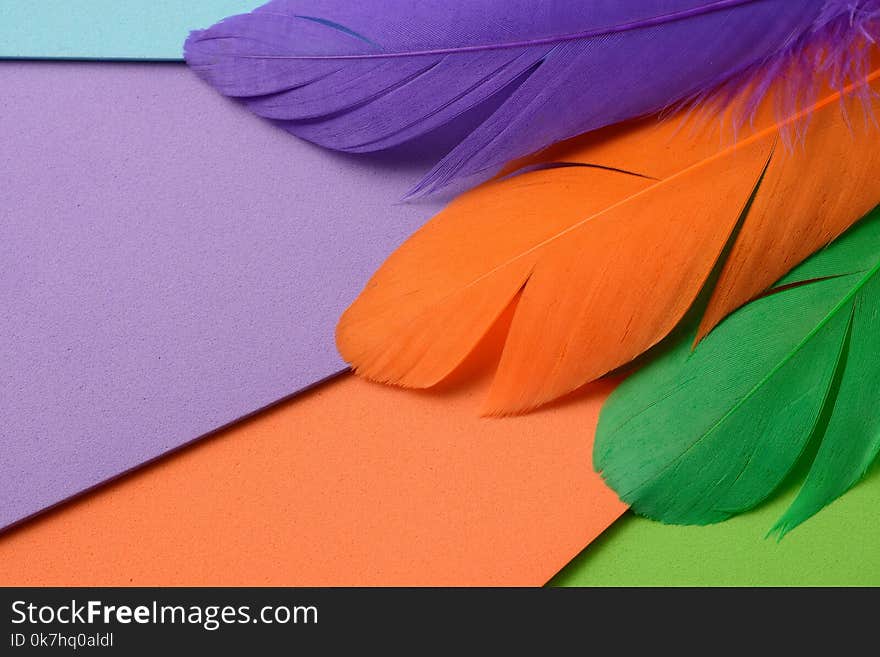 Bright colorful feather abstraction useful as background or wallpaper