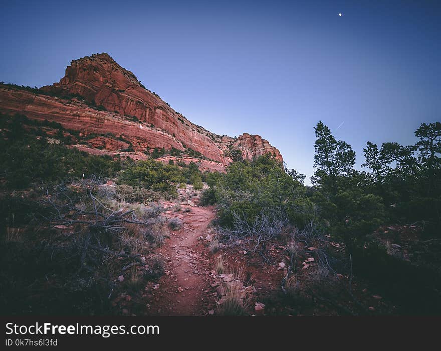 Arizona sunset trees landscape nature