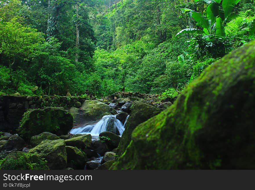 09/04/2018,Beautiful scenery around the trees are still natural and in the clear water.java indonesia. 09/04/2018,Beautiful scenery around the trees are still natural and in the clear water.java indonesia