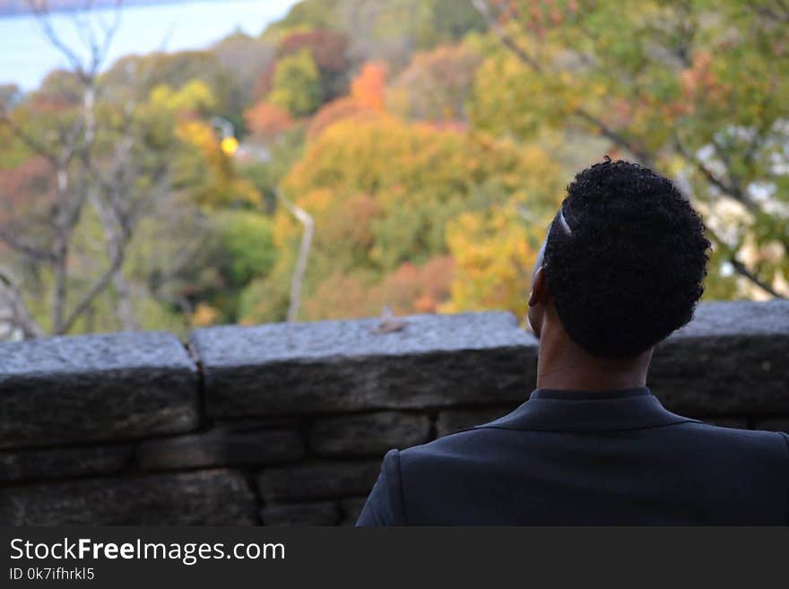 Back View of a Man Overlooking Autumn Treetops