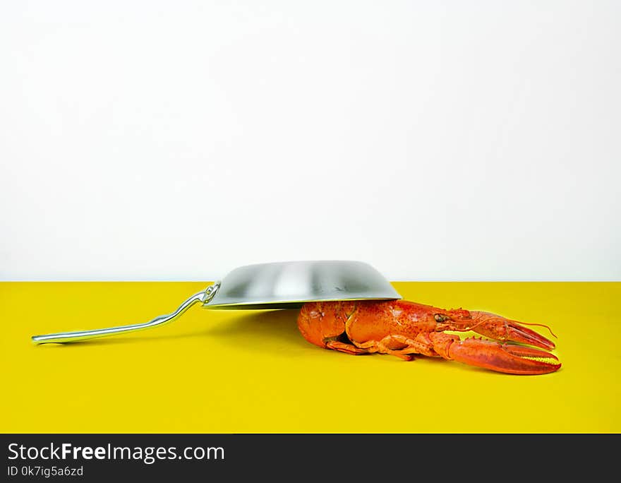 Gray Steel Cooking Pan Near Orange Lobster