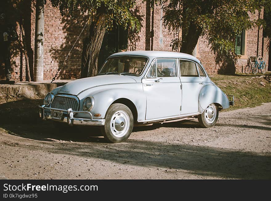 Classic Blue Sedan Near Green Leaf Trees at Daytime