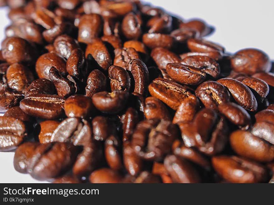 Close-up Photography of Roasted Coffee Beans