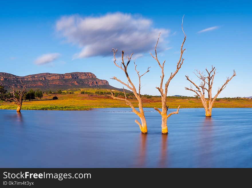 Wet Season