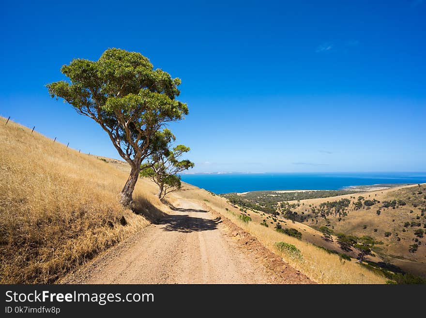 Beach Road