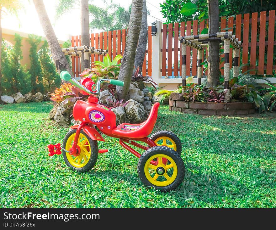 Red bike tricycle in the beautiful garden park playground at home flare light green grass.