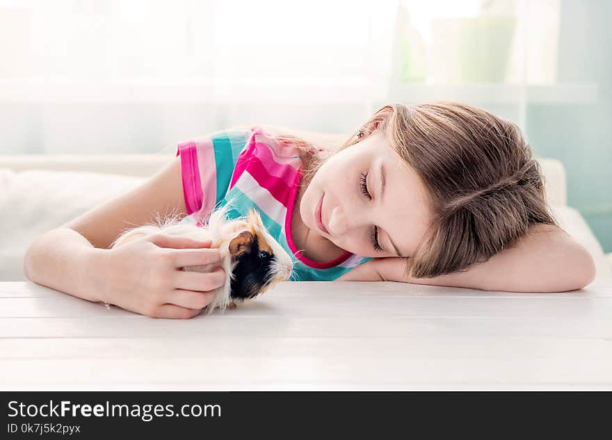 Girl stroking fluffy guinea pig. Little girl playing with guinea pig on the table