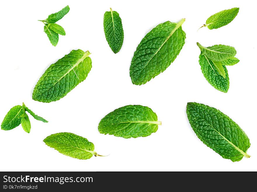 Fresh mint leaves pattern isolated on white background, top view. Close up of peppermint, lemon balm