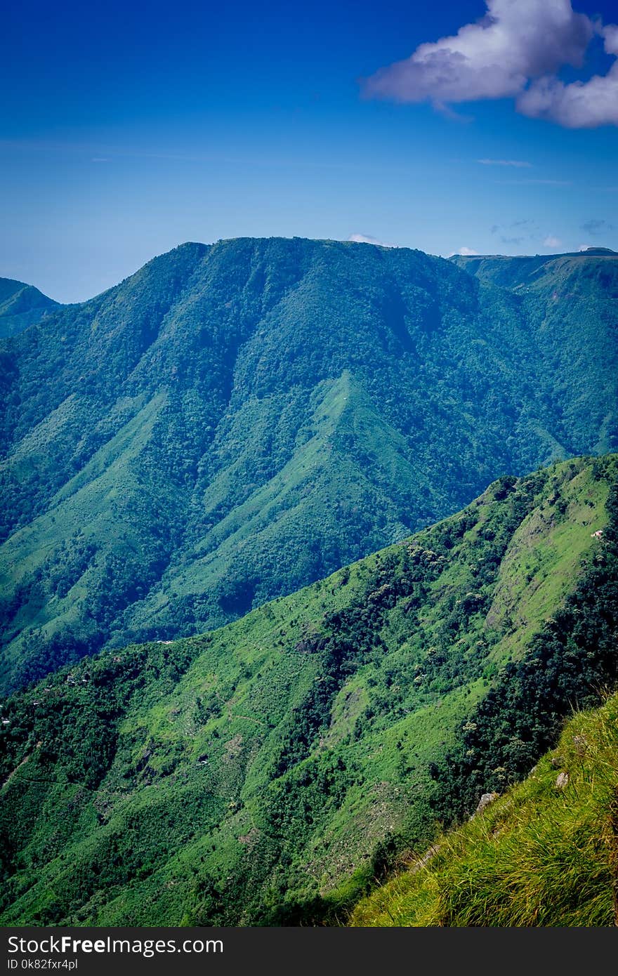 Landscape Photo of Mountain Surrounded by Trees