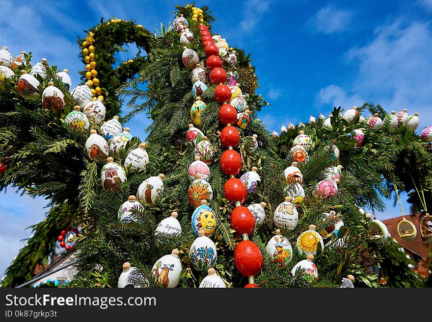 Tree, Christmas Decoration, Plant, Sky