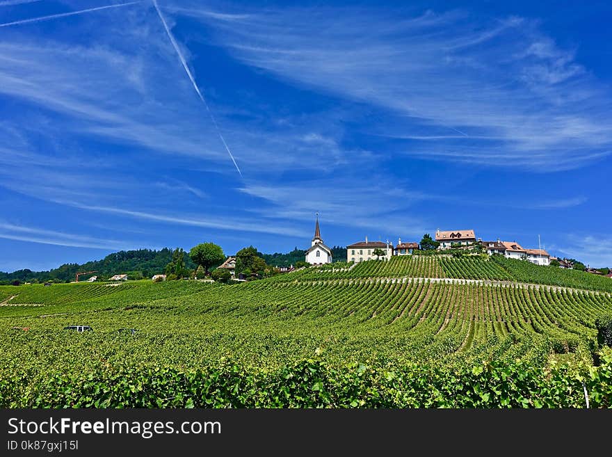 Sky, Grassland, Field, Agriculture