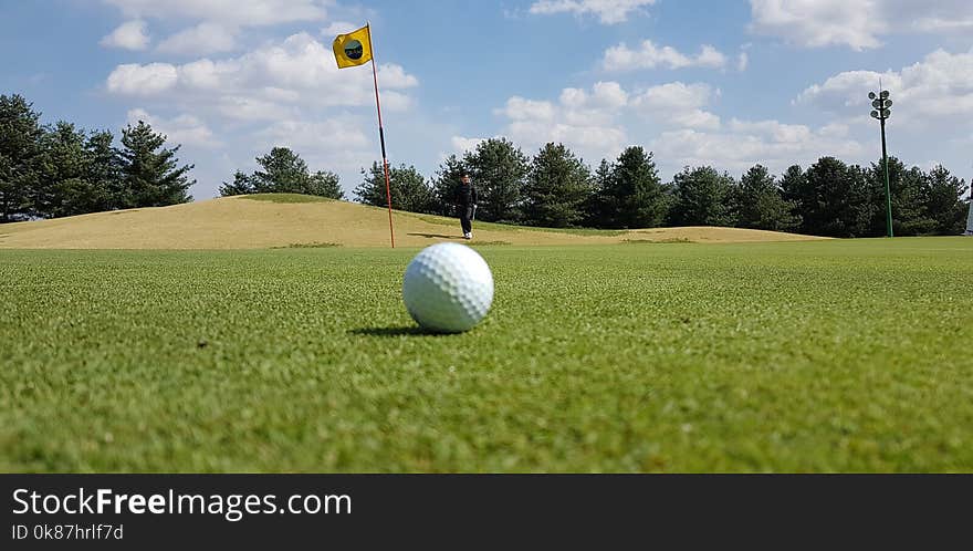 Grassland, Field, Grass, Golf