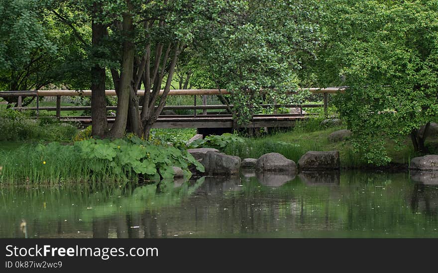 Reflection, Water, Nature, Nature Reserve