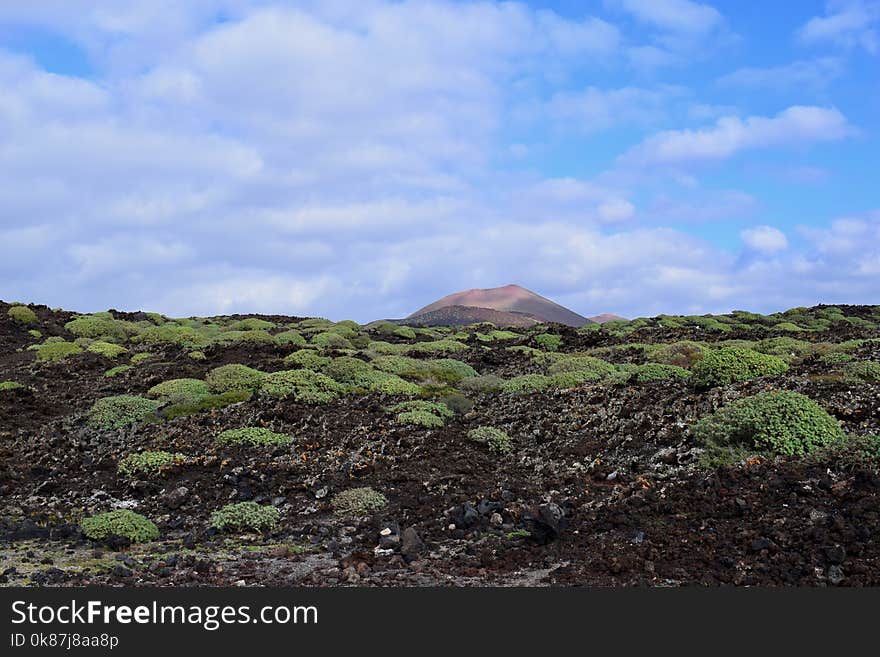 Vegetation, Sky, Highland, Hill