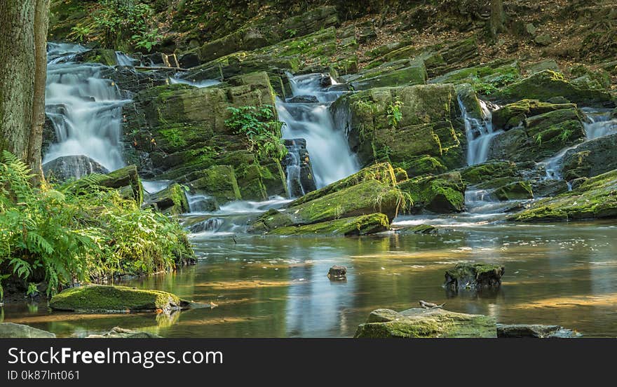 Waterfall, Nature, Water, Nature Reserve