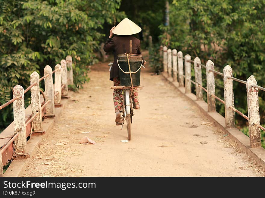 Path, Road Bicycle, Bicycle, Tree