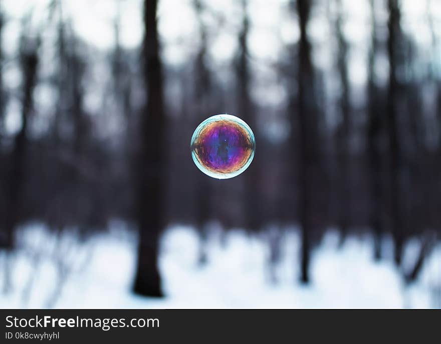 Shiny soap bubble shimmers and flies in spring Park