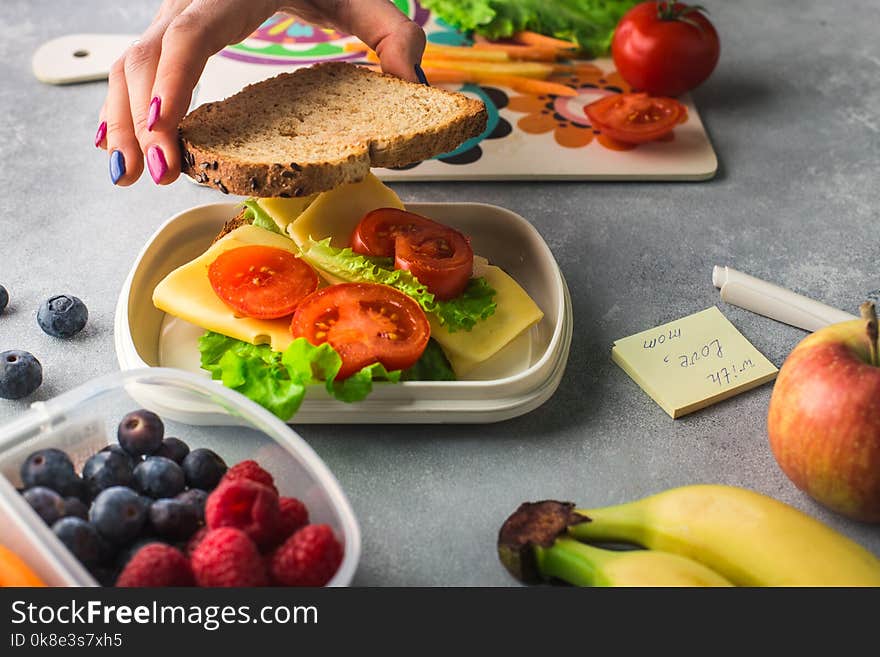 Mother giving healthy lunch for school hands. Mother giving healthy lunch for school hands