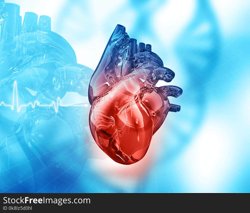 Human heart on abstract background