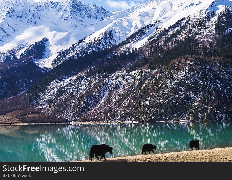 RanWu lake in spring with beautiful reflection of snow mountain , Tibet Autonomous Region , China. RanWu lake in spring with beautiful reflection of snow mountain , Tibet Autonomous Region , China