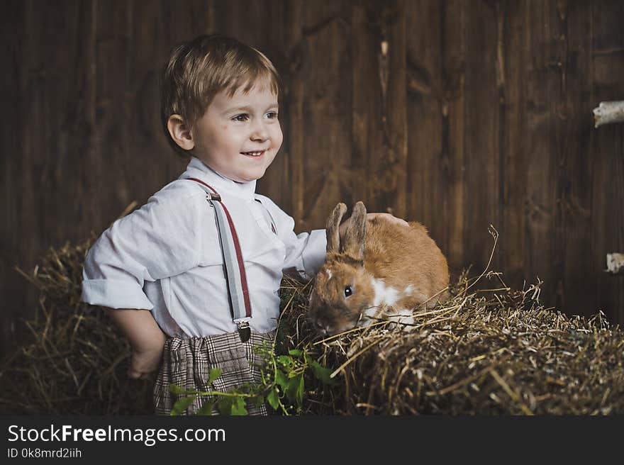 The little boy cares about the animal.