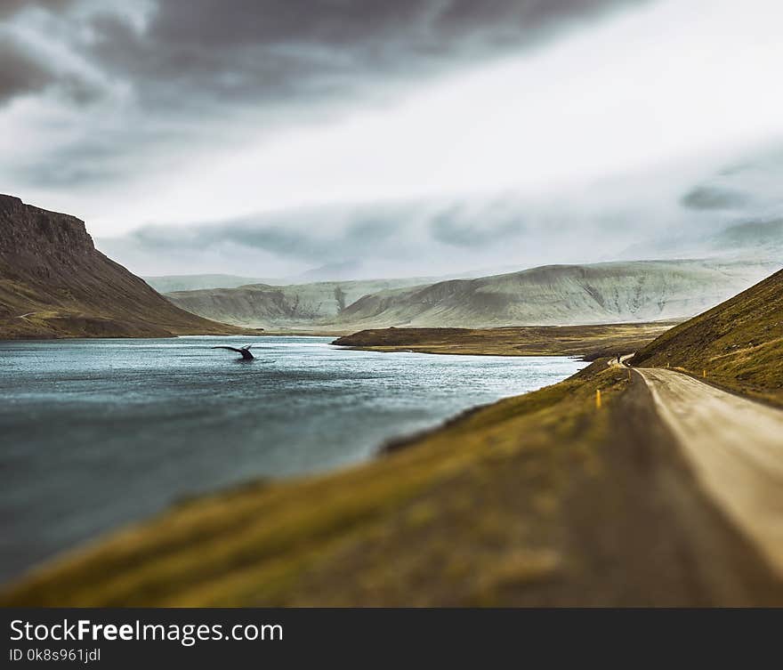 Fairy whale tale of Iceland