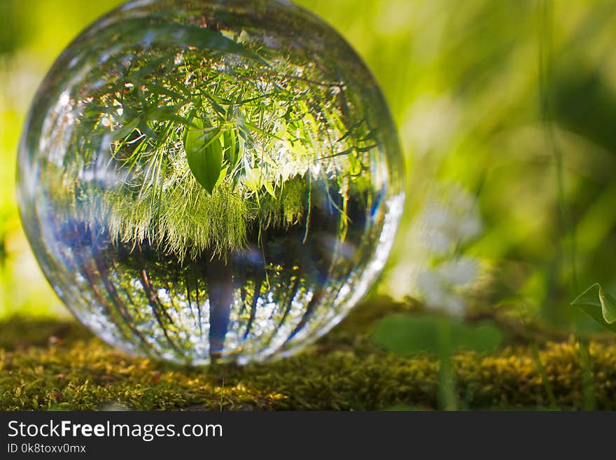 Water, Reflection, Nature, Green