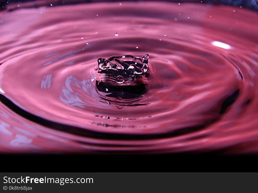 Drop, Water, Macro Photography, Close Up