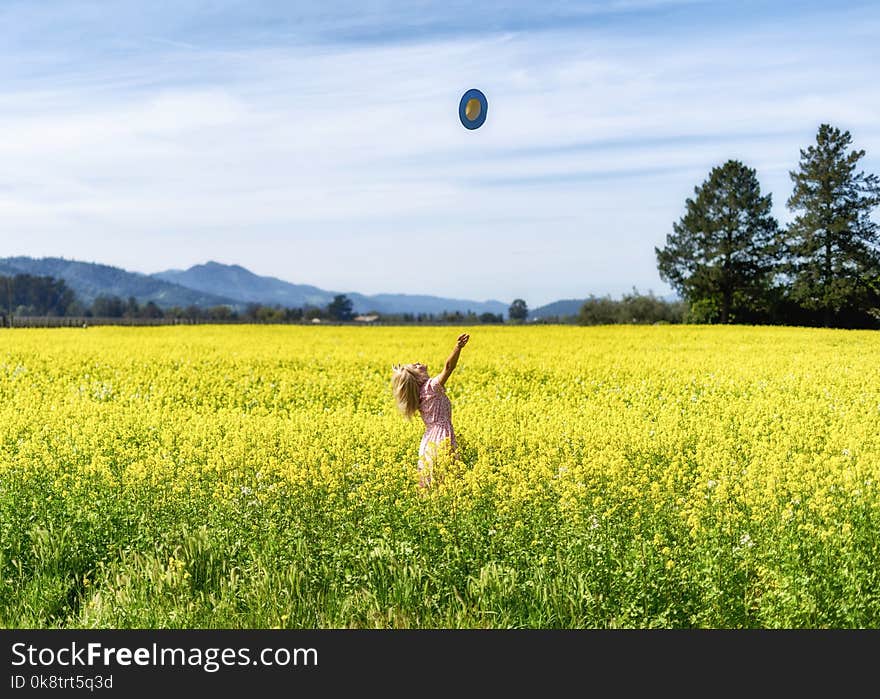 Field, Grassland, Ecosystem, Canola