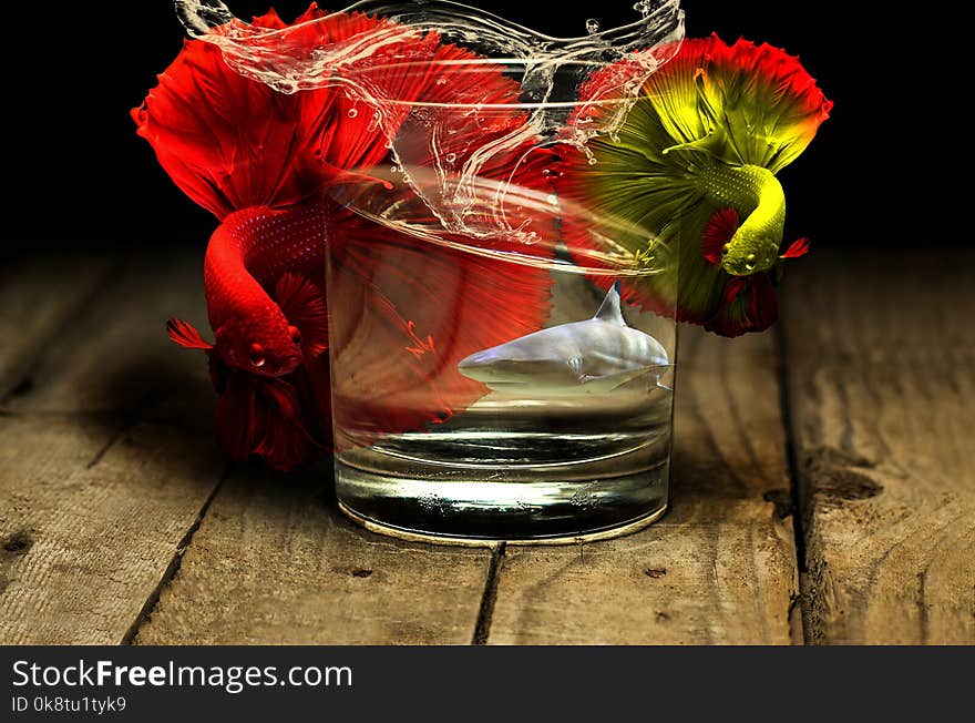 Red, Flower, Still Life Photography, Drink